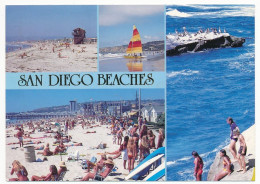 CPSM / CPM 10.5 X 15 Etats Unis (30) Californie SAN DIEGO Beaches  Plages Rochers Oiseaux - San Diego