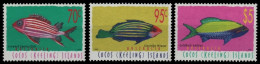 Kokos-Inseln 1998 - Mi-Nr. 367-369 ** - MNH - Fische / Fish - Cocos (Keeling) Islands