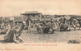 DJIBOUTI - Station Des Caravanes Venant De La Brousse - Carte Postale Ancienne - Gibuti