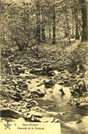 Belgique - Luxembourg - Saint-Hubert - Cascade De La Doneuse - Saint-Hubert