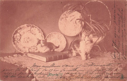 ANIMAUX & FAUNE - Chats - Alerte - Carte Postale Ancienne - Gatos