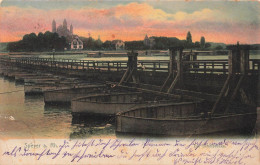 ALLEMAGNE - Speyer - Die Schiffbrücke - Colorisé - Carte Postale Ancienne - Speyer