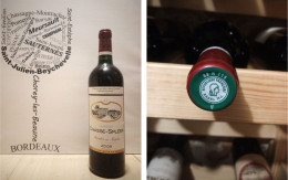 5 + 1 OFFERTE - Château Chasse Spleen 2008 - X6 - Moulis - 6 X 75 Cl - Rouge - Wine