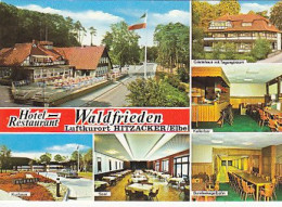 AK 184345 GERMANY - Hitzacker / Elbe - Hotel-Restaurant Waldfrieden - Hitzacker