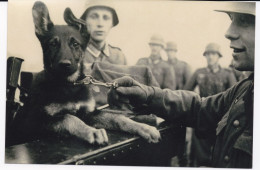 Photo 10 X 15  Reproduction Photo D'une Collection Coté Allemagne - Guerre, Militaire
