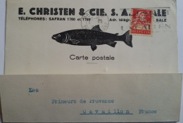 SUISSE - SUPERBE Carte Postale THEME PÊCHE Avec  TP 20c Perforé EC. (E. CHRISTEN) - 3 Photos - Gezähnt (perforiert)