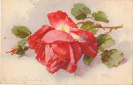 Carte Postale Ancienne Signée Catharina Klein Roses  N° 1271  2 SCANS - Klein, Catharina