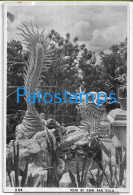 219529 SINGAPORE VIEW OF HAW PAR VILLA PHOTO NO POSTAL POSTCARD - Singapour