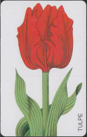 GERMANY PD1/99 Blume - Die Tulpe -  DD: 2901 - P & PD-Serie : Sportello Della D. Telekom