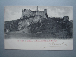 Vallée De La Meuse. Les Ruines Du Château De Montaigle - Onhaye
