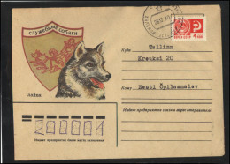 RUSSIA USSR Stationery USED ESTONIA  AMBL 1242 HALJALA Dogs West Siberian Laika Hunting - Non Classificati