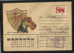 RUSSIA USSR Stationery USED ESTONIA  AMBL 1243 ULILA Dogs Airedale Terrier Police - Non Classificati