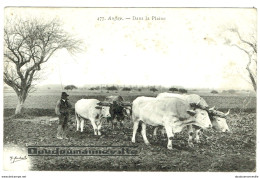 CPA - 76 - AUFFAY - Attelage De Boeufs Aux Labours - Agriculture - Métiers - Auffay