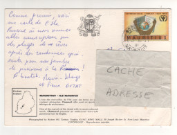 Timbre , Stamp  " 1990 Année Internationale De La Lecture " Sur CP , Carte , Postcard De 1991 - Maurice (1968-...)