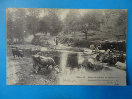 22) Plouaret - N° - Bords De Rivière Au Moulin-neuf (laveuse) - Année:1916 - EDIT: Hamon - Plouaret