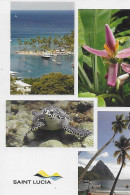 SAINT  LUCIA  -  4  Vues  -  WEST  INDIES  - Where  Nature's  Gifts  Dominante - Sainte-Lucie