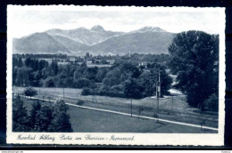 K06036)Ansichtskarte: Bad Aibling, Theresien-Monument - Bad Aibling