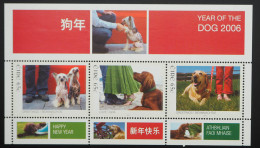 2006 Irland; Block Chinesisches Neujahr, Postfrisch/MNH, Bl. 57 - Otros & Sin Clasificación