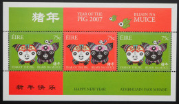 2007 Irland; Block Chinesisches Neujahr, Postfrisch/MNH, Bl. 63 - Altri & Non Classificati