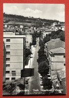 Cartolina - Caltanissetta - Viale Napoleone Colajanni - 1955 Ca. - Caltanissetta