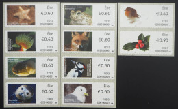 2013 Irland; Automatenmarken Des Jahrgangs Kpl., Postfrisch/MNH, MiNr. 43/52 - Other & Unclassified