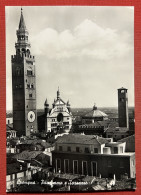 Cartolina - Cremona - Panorama E Torrazzo - 1950 Ca. - Cremona