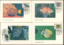 Carte-Maximum (CM) - Zoo D'antwerpen IV Poissons / Fish N°1470/73 - 1961-1970