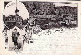 Gruss Von Der Saalburg Mehrbild Litho Gel.1896 AKS - Saalburg