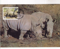 Rhinocéros Avec Le Timbre - Neushoorn