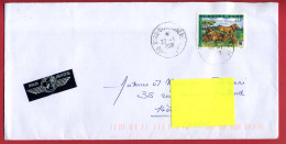 2001 - Burkina Faso - Lettre De Bobo Dioulasso Pour La France - Lionne, Lion Et Lionceaux Tp N° 1117 - Burkina Faso (1984-...)