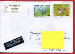 1997 - Burkina Faso - Lettre De Bobo Dioulasso Pour La France - Poissons D'eau Douce Tp N° 1002X Et 1002Y - Burkina Faso (1984-...)