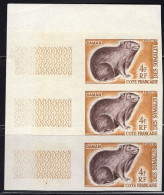 SOMALI COAST(1962) Cony. Imperforate Strip Of 3. Scott No 288, Yvert No 306. - Other & Unclassified