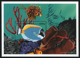 Eritrea 1997 - Mi-Nr. Block 6 ** - MNH - Fische / Fish - Erythrée