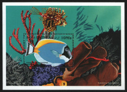 Eritrea 1997 - Mi-Nr. Block 6 ** - MNH - Fische / Fish - Eritrea