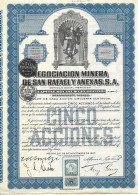 ACTION NEGOCIACION MINERA DE SAN RAFAEL Y ANEXAS 1923 MEXICO MEXIQUE AMERIQUE DU SUD - Mines