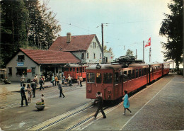 Transportation Card Tramway Uetilberg Schonste Aussicht Auf Stadt Zurich - Strassenbahnen