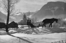 Carte Photo Art GyGer ADELBODEN-Bergbauern Beim Holzführen-Suisse-Berne-Sport Hiver-Ski-Skieur-Neige-Traineau Cheval - Adelboden