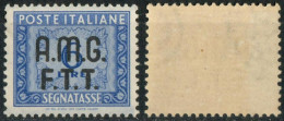 AMG-FTT 1947/49 SEGNATASSE CON SOPRASTAMPA SU DUE RIGHE L. 6 - NUOVO MNH ** - SASSONE TAX10 - Impuestos