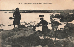 MÉTIERS - Cueilleuses De Moules à Marée Basse - Carte Postale Ancienne - Sonstige & Ohne Zuordnung