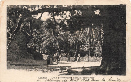 ALGÉRIE - Taghit - Coin Pittoresque Dans La Palmeraie - Carte Postale Ancienne - Other & Unclassified