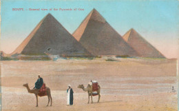 Egypt Gizeh Pyramides Camel Caravan - Gizeh