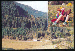 CPSM / CPM 10.5 X 15 Vosges Le Rudlin En Automne PLAINFAING  La Cueillette Des Jonquilles Au Rudlin - Plainfaing