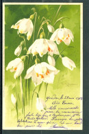 20651 - Catharina Klein (1861-1929) - Fleurs -  Perce-neige - Meissner & Buch, Série 1202 Jm Frühlingskleid - Klein, Catharina