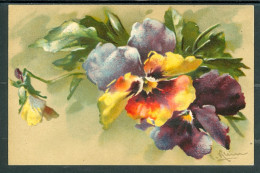 20693 - Catharina Klein (1861-1929) - Fleurs  - Bouquet De Pensées - S.4039 - Klein, Catharina