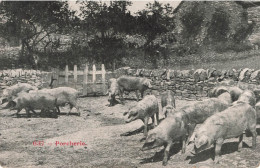 ANIMAUX - FAUNE - Porcherie - Cochons - Carte Postale Ancienne - Schweine