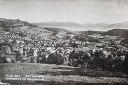 Wald - Blick Zum Speer, Schaniserberg Und Murtschenstock - Wald