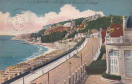 21 LE HAVRE                          La Heve - Cap De La Hève