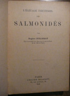 L'ELEVAGE INDUSTRIEL DES SALMONIDÉS - Chasse/Pêche