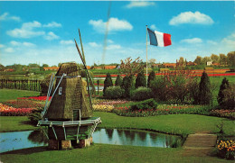 SCÈNES & PAYSAGES - Land Of Flowers And Wind-mills - Carte Postale - Szenen & Landschaften