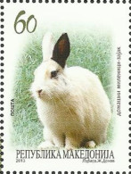 MK 2013-650 RABIT, MACEDONIA, 1 X 1v, MNH - Hasen